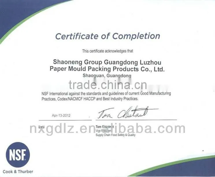 disposable customized paper tableware