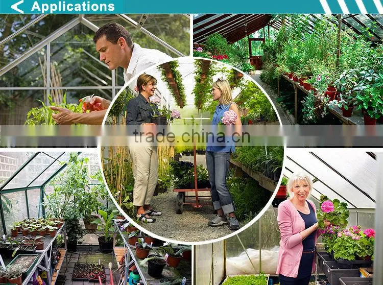 Foshan Factory Portable Glass Indoor Mini Greenhouse