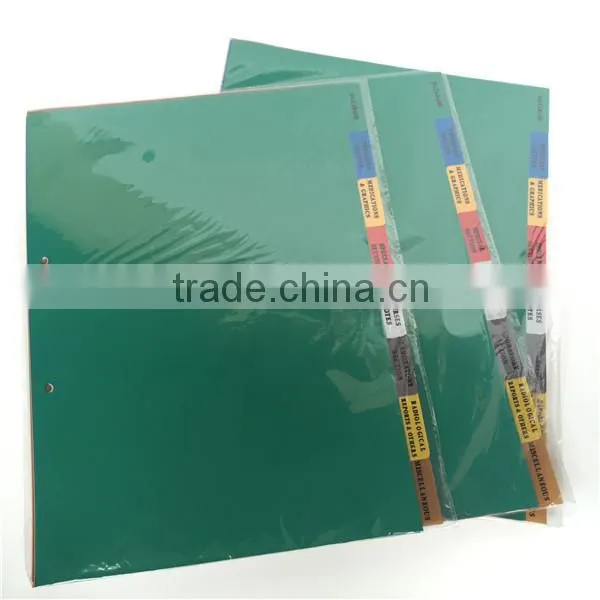 China Wholesale Divider, 8 Pages PP Divider, A4 Size 2 Hole Sheet Protector