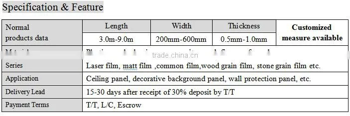 heat transfer PET film for ceiling panel