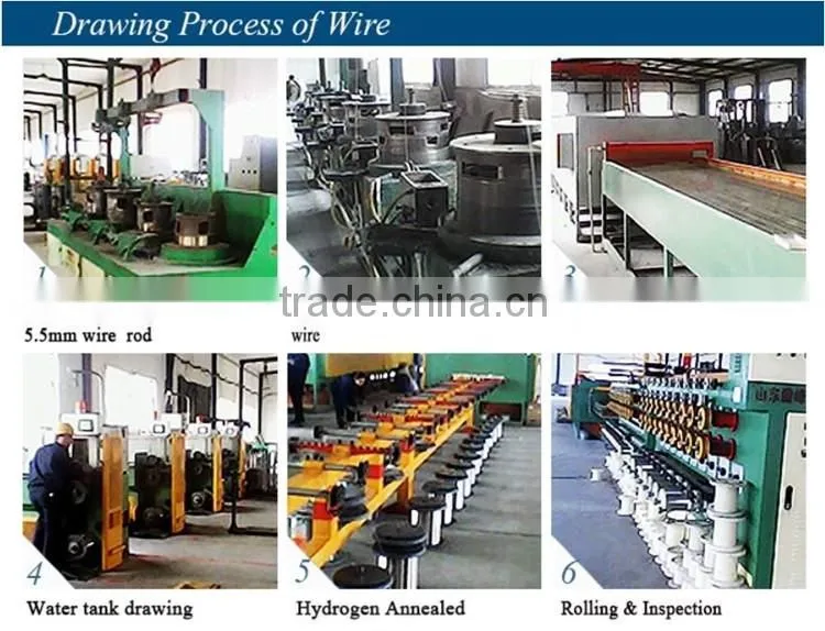 Stainless Steel Weaving Wire/Surgical Stainless Steel Wire