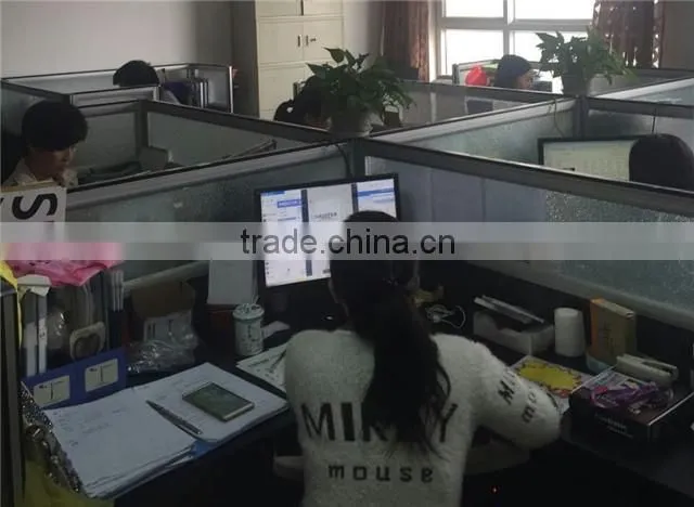 Zhaoxian Tengxing Plastic Fashion Co., Ltd. company overview - view 3