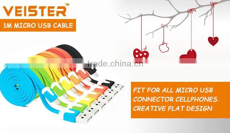 1M Colorful Noodle usb micro cable for Blackberry