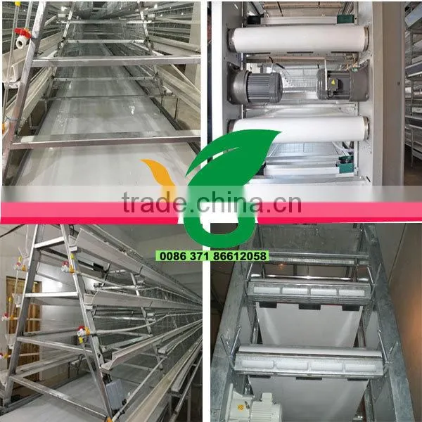 automatic chicken manure removal system