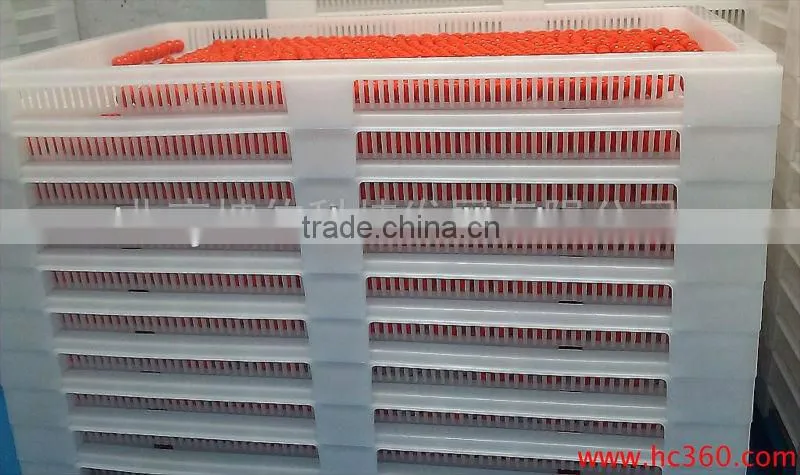 Plastic Drying Trays For Paintballs And Soft Capsule