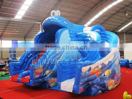 Used water park equipment giant commercial inflatable water parks