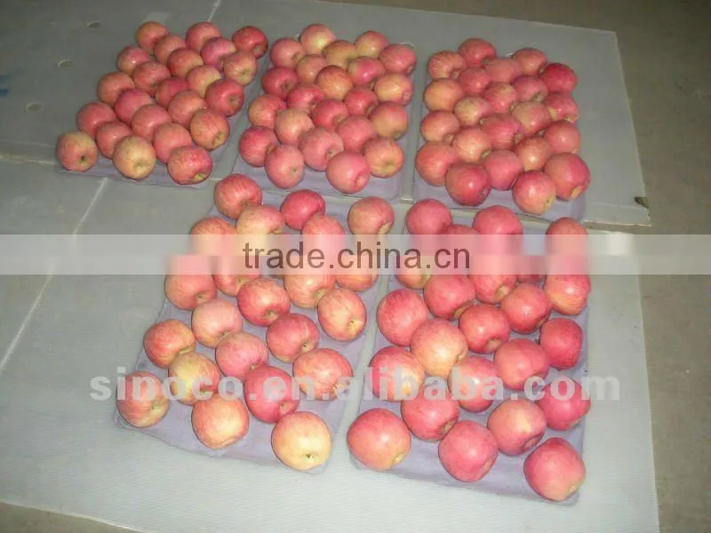 Fresh Fuji Apple