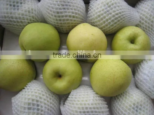 2014 crop shandong golden pear