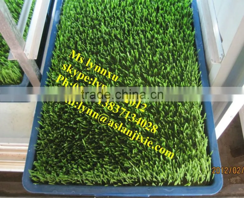 soyabean sprouting machine /automatic bean sprout machine