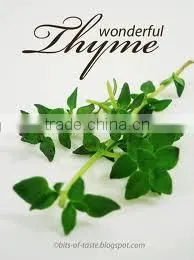 Thyme Oil