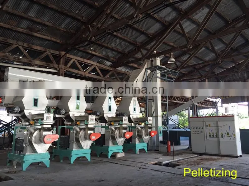 Small vertical ring die pellet machine with 800- 1000kg an hour productivity