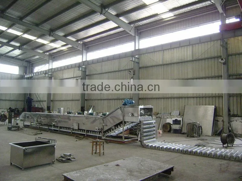 Automatic Potato Frying Machine
