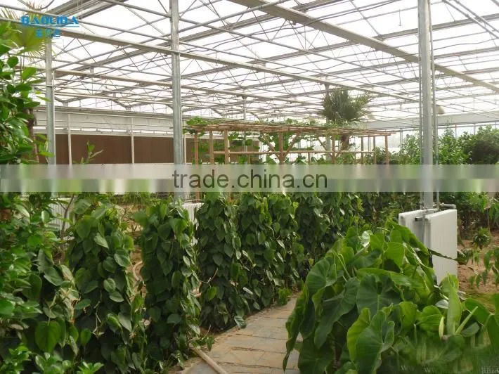 commercial greenhouse for agriculture