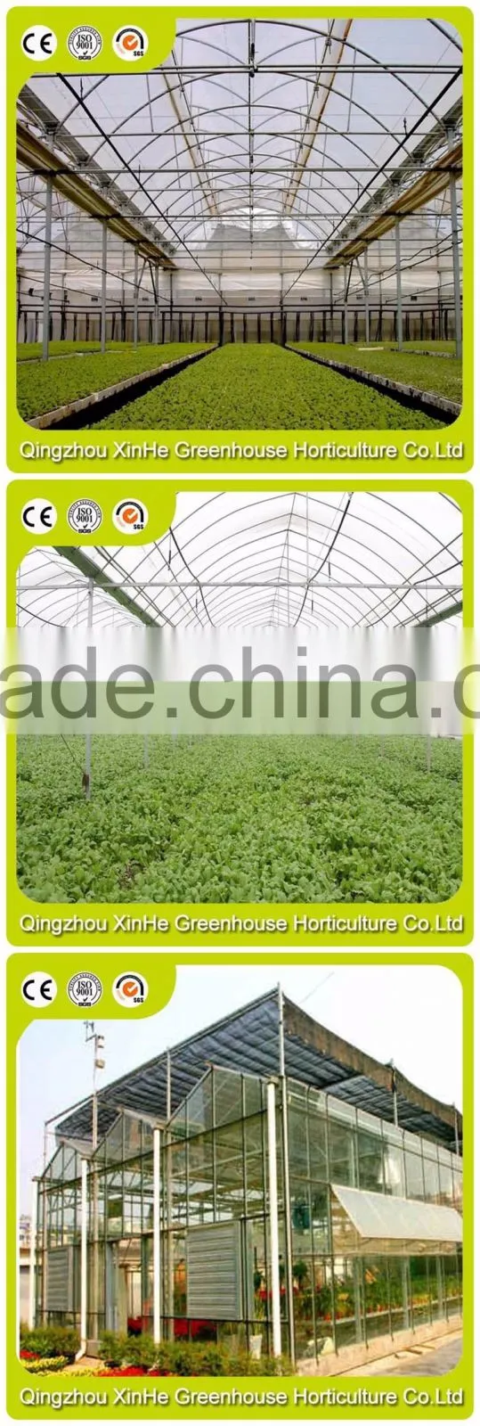 Commercial Greenhouse,Industrial Greenhouse,Agricultural Greenhouse
