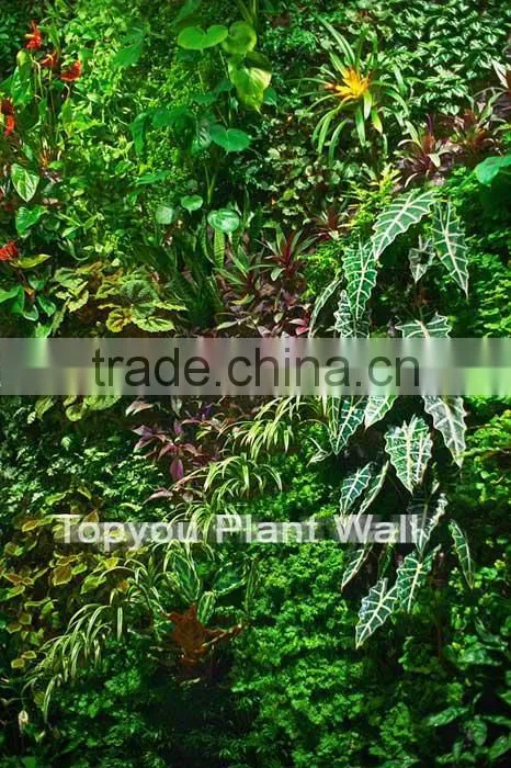 factory price new designed high quality artificial plant wall/plastic garden walls vertical wall garden