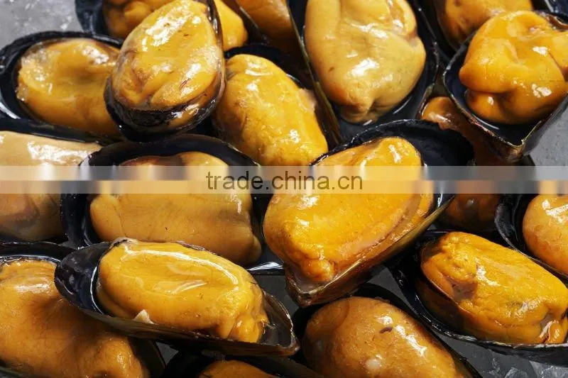 Mussel