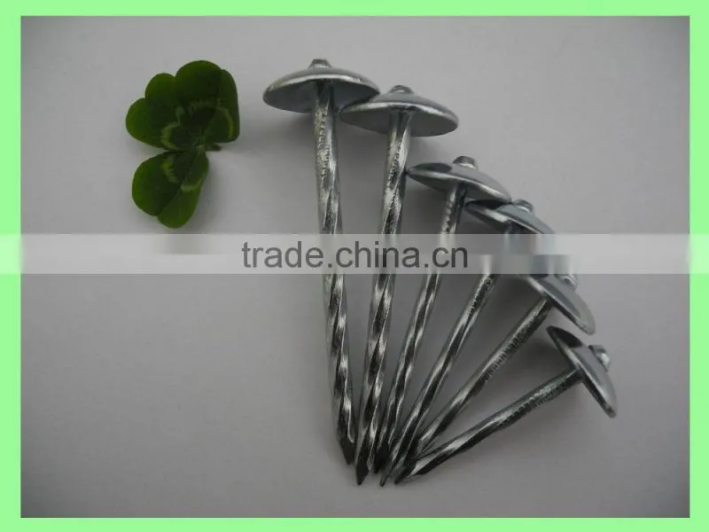 Kenya umbrella roofing nails