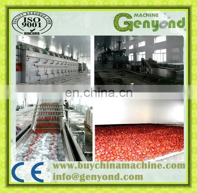 food tunnel dryer for drying fruit and vegetable