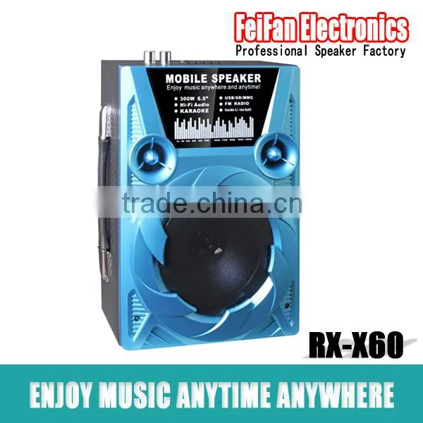 Top Sale 6.5 Inch Usb Speaker With Fm Radio