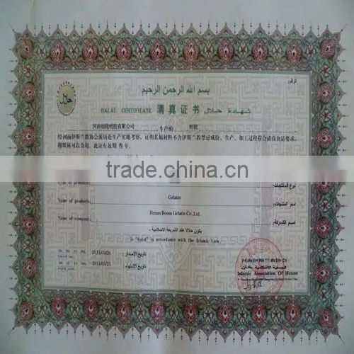 pharmaceutical grade gelatine