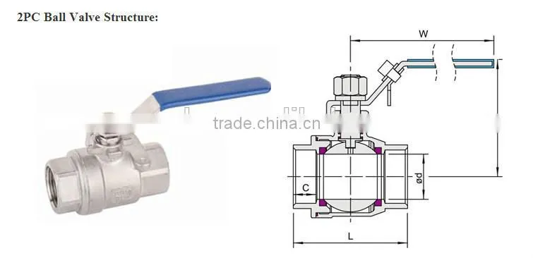 Stainless Steel 2PC Ball Valve, Threaded End, 1000PSI WOG
