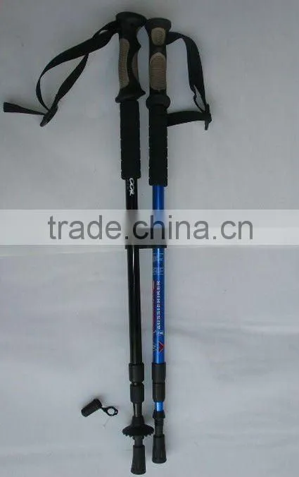 Nordic Walking Stick