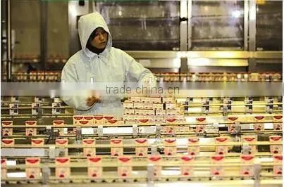 Brick box filling line for milk China