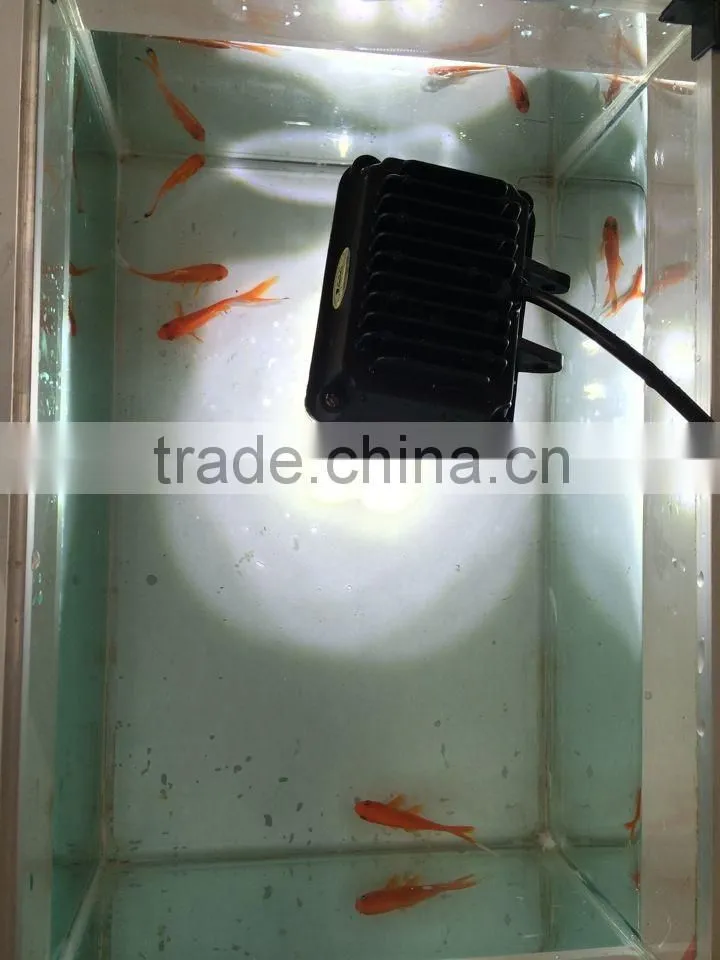 Square waterproof sun lamp for aotu