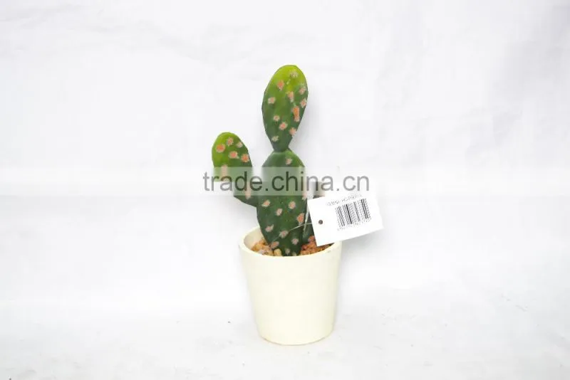 Mini Cactus with cement pot for decoration