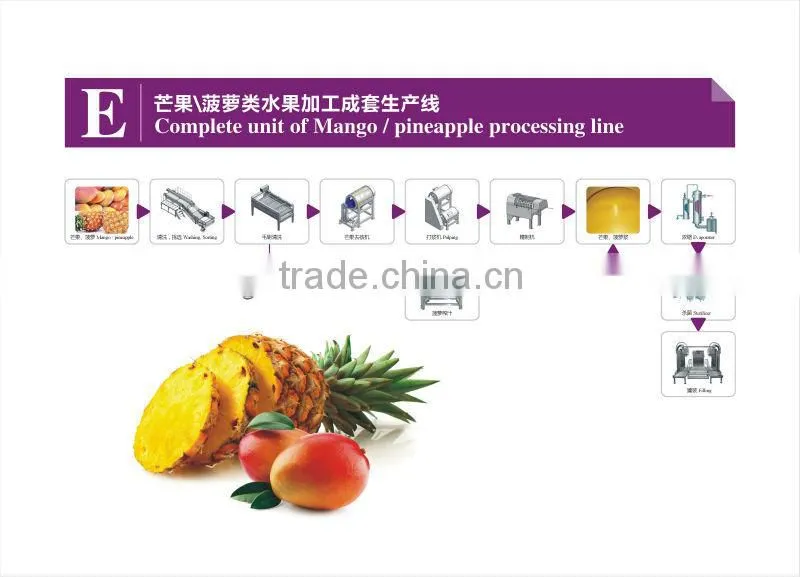 complete set of mango juice production plant