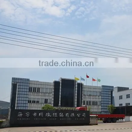 Haining Tongxin Warp Knitting Co., Ltd. company overview - view 1