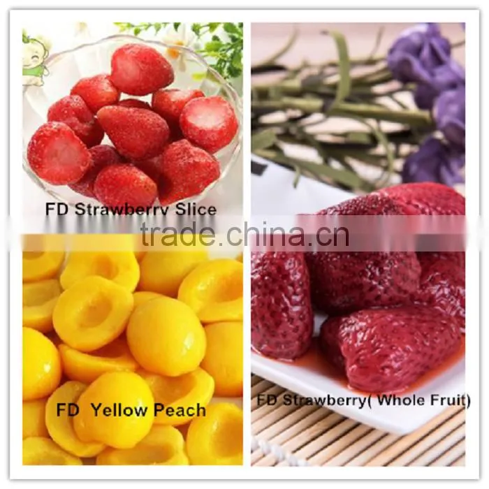 IQF Yogurt Strawberry Frozen Manufacrurer