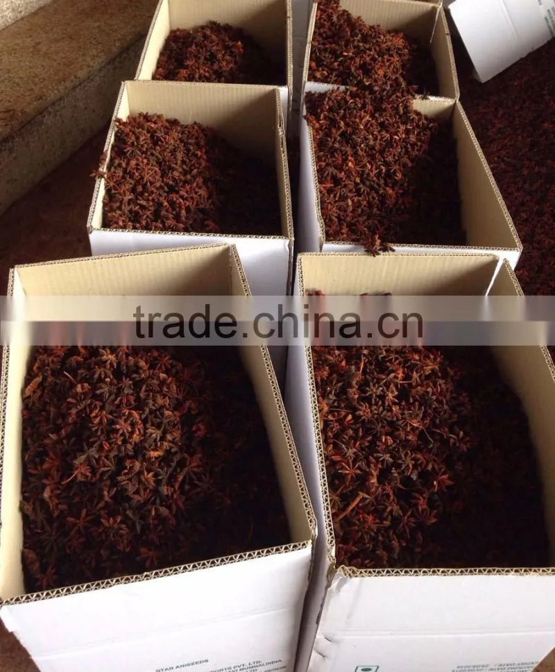 VIETNAM AUTUMN STAR ANISEED, HIGH QUALITY, BEST PRICE (+841657106604 - WHATSAPP)