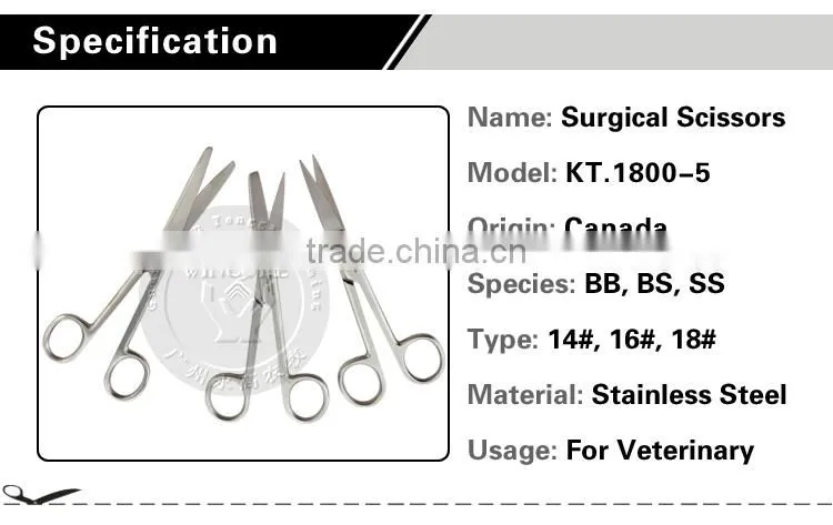 Kinds of stainless steel livestock surgical scissors