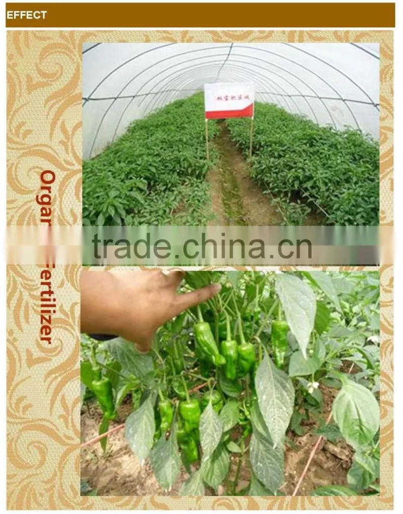 High Quality Organic Fertilizer With 60% Organic Matter(powder)