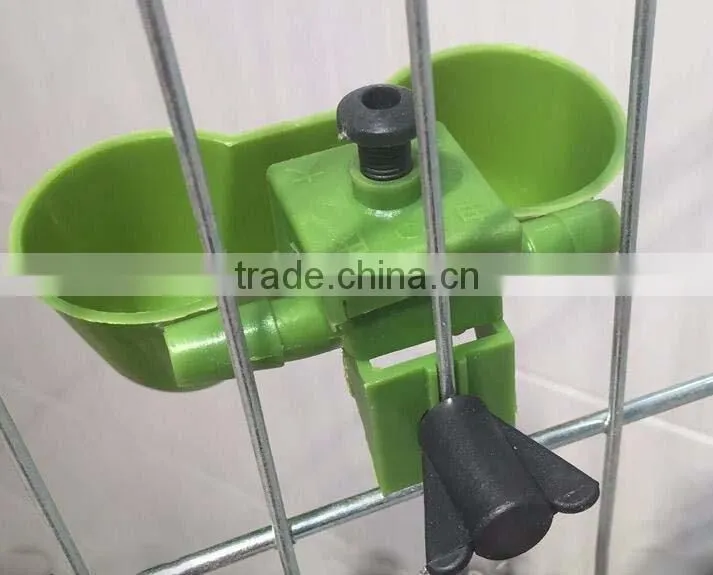 quail drinker feeder