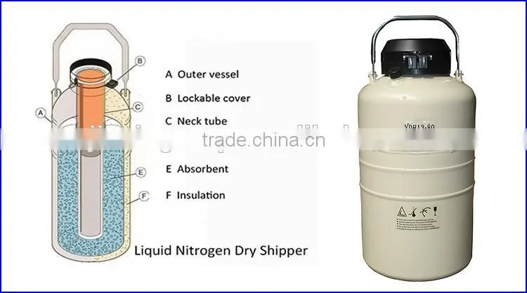 factory supply small capacity liquid nitrogen container with 5 years warranty