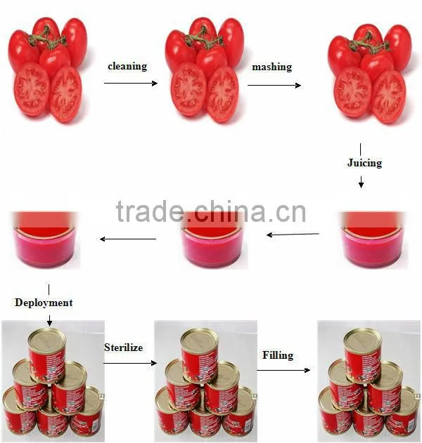 2013 Upgrade high quality Ketchup production line/system