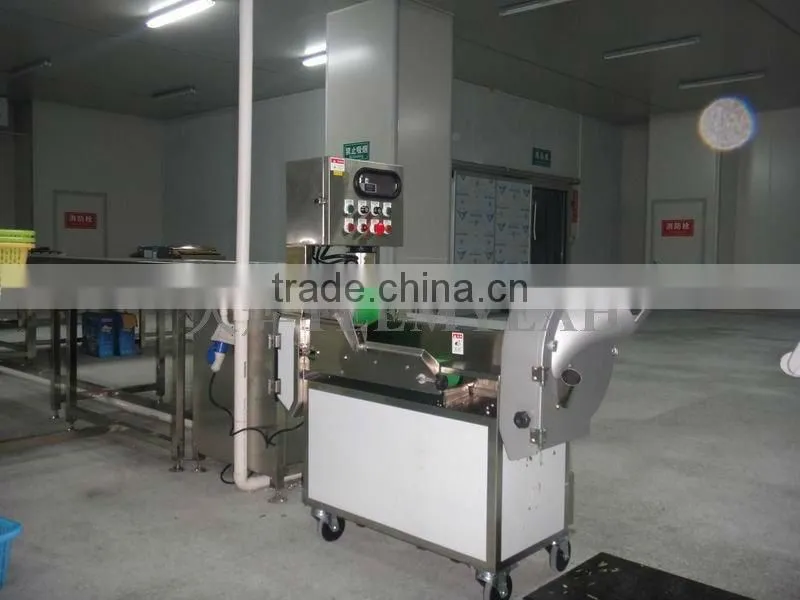 Zhuhai vegetables processing and distribution center for Hong Kong and Macao