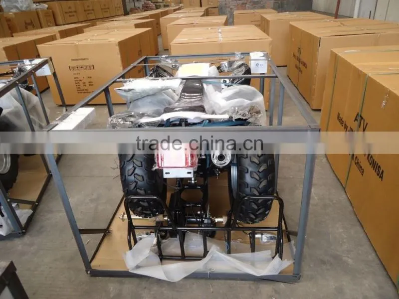 250CC ATV /250CC raptor ATV/250cc sports atv(TKA250-L)