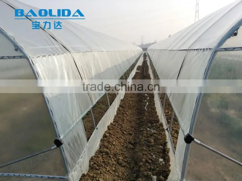 BaoLiDa Cheap Tunnel Greenhouse Agricultural Plastic Film Greenhouse