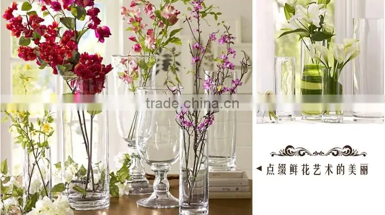 Cylindrical straight hydroponic glass containers transparent glass vase