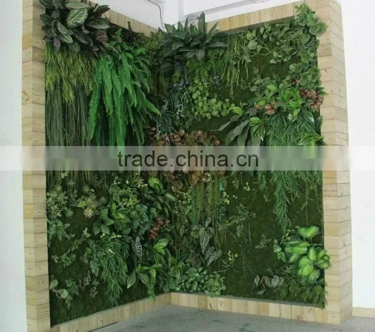 SJ 2013 hot sale high quality artificial plant walls