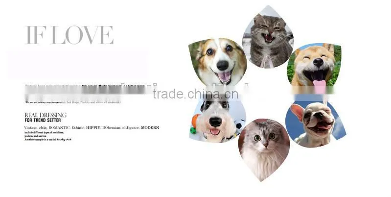 OEM High quality eco-friendly PET salad bowl wholesale plastic dog bowl disposable pet dish