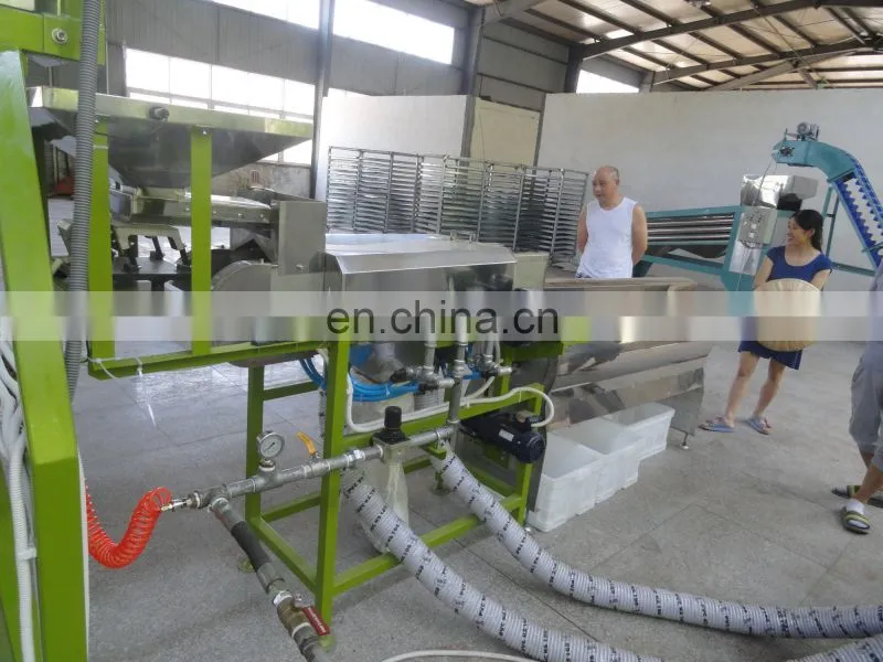 cashew nut production line / cashew processing machine / cashew nuts peeling machine