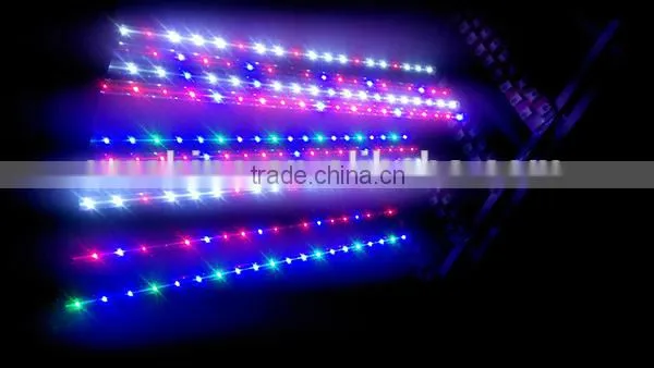 T8 led tube grow light for greenhouse, t8 red blue led plant grow light tube for hydroponic lettuce