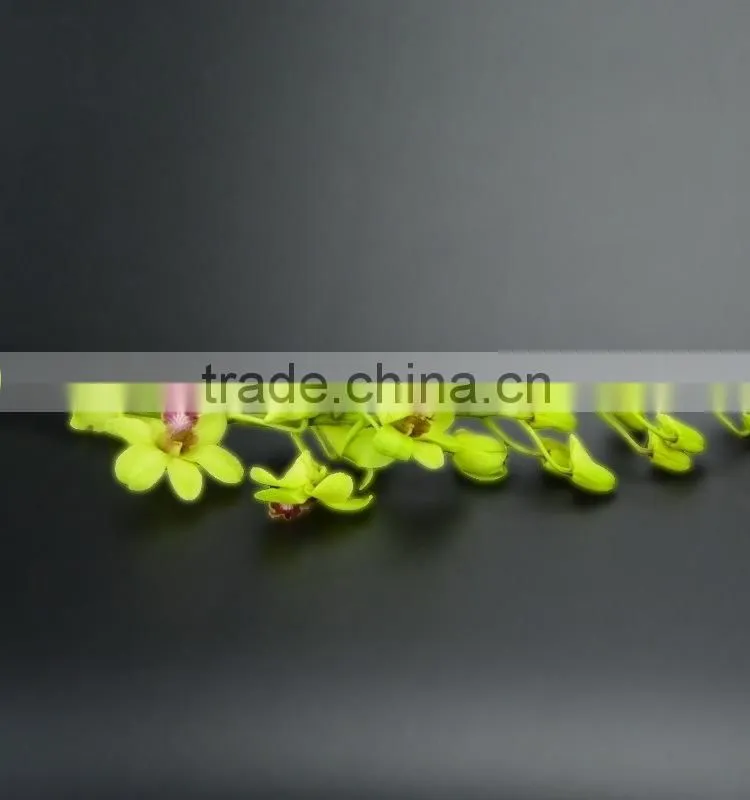 Super quality hot sale mini wholesale violet orchid cattleya