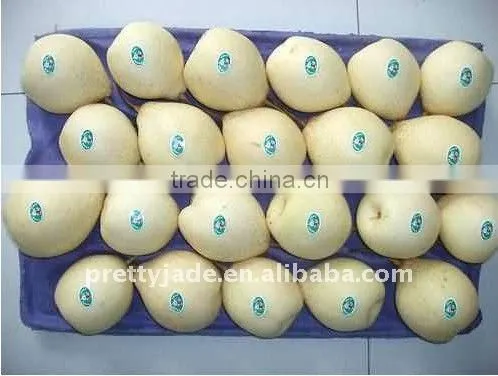 2013 Chinese fresh Ya pear