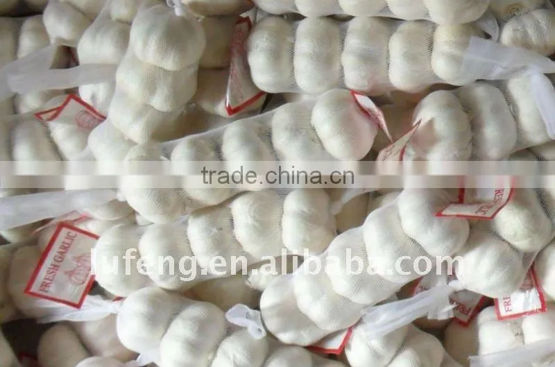 White Garlic