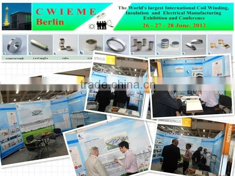 Wholesale All Kinds Of Stepper Motor Magnets